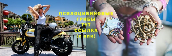 2c-b Алзамай