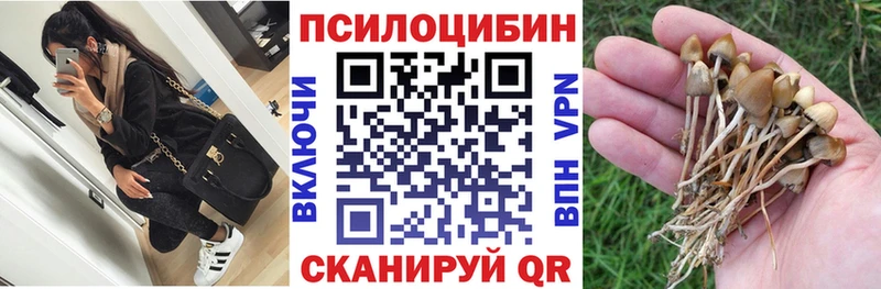 Галлюциногенные грибы Magic Shrooms  Купить где  Бабушкин 