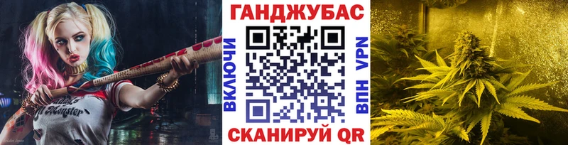 Конопля гибрид  Купить где  Бабушкин 